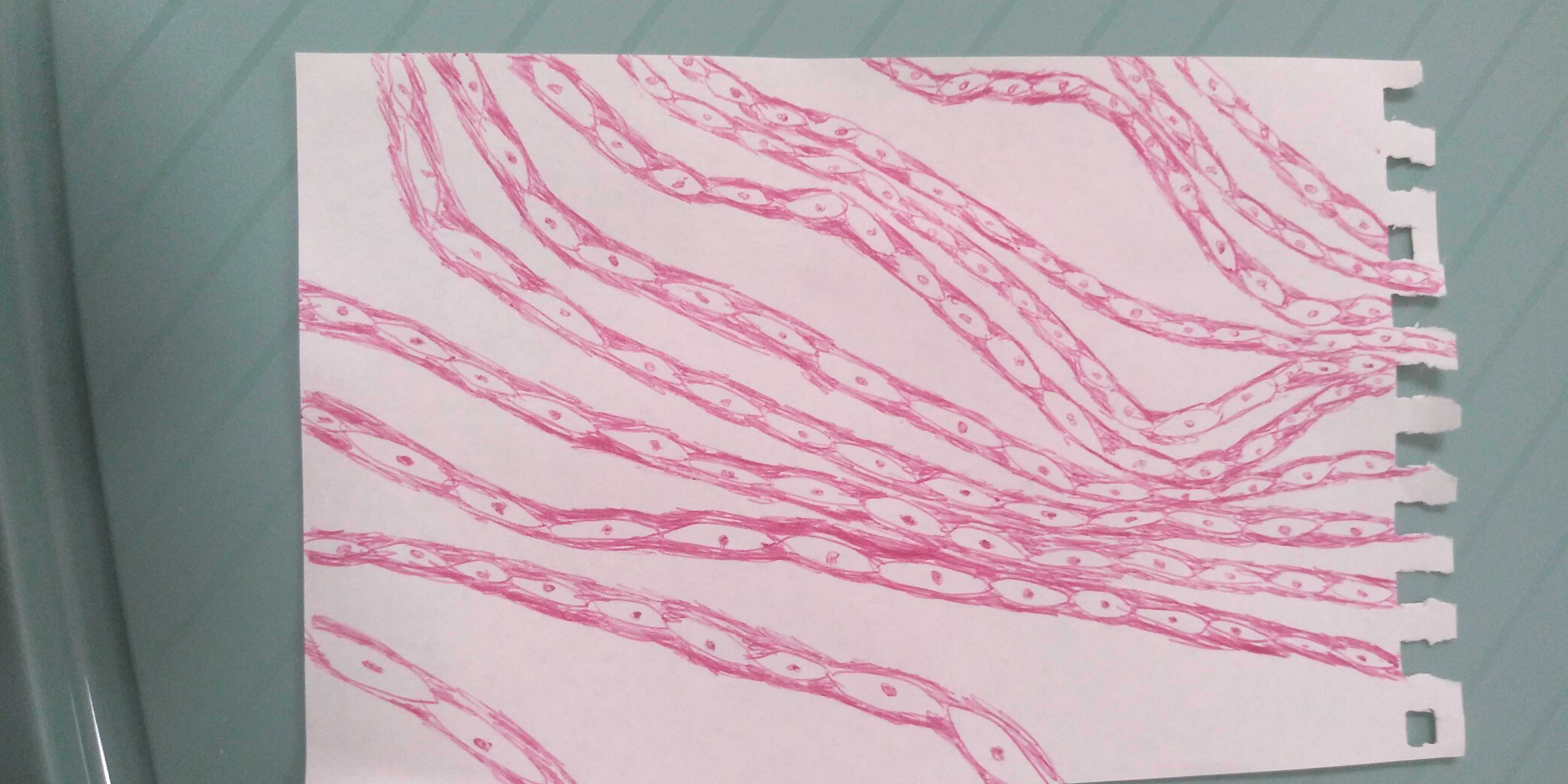 the image cannot be displayed.