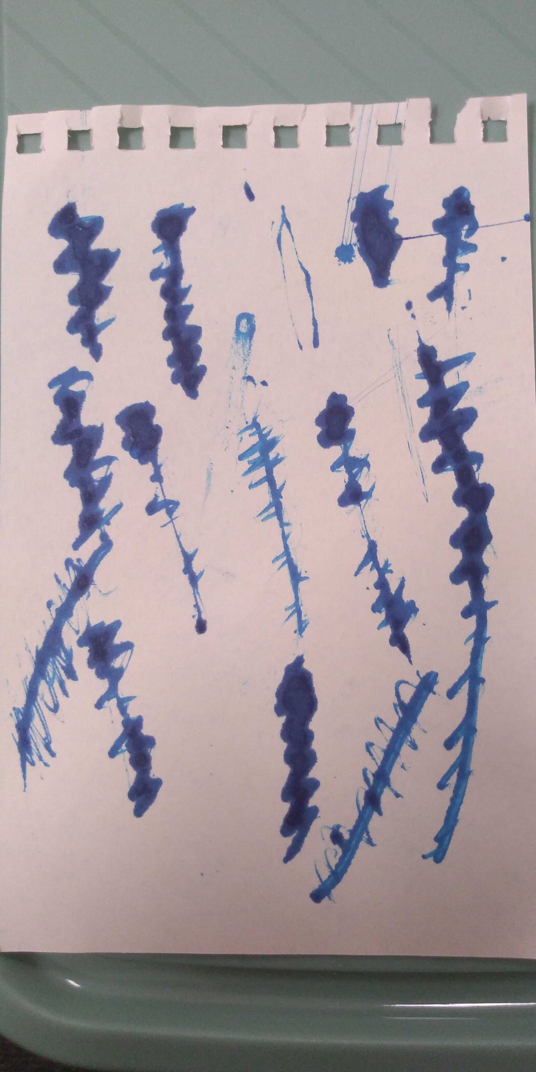 the image cannot be displayed.