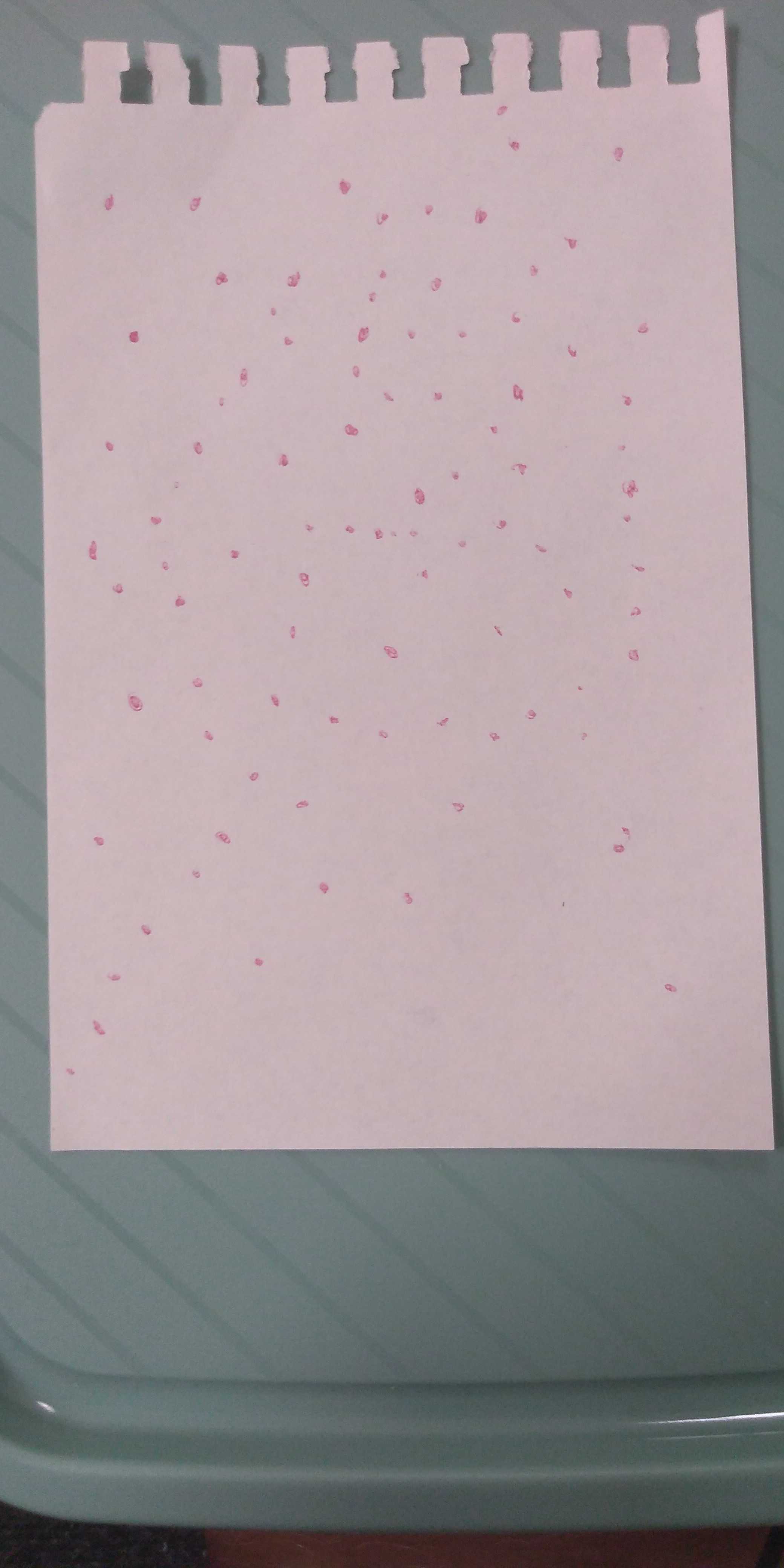 the image cannot be displayed.