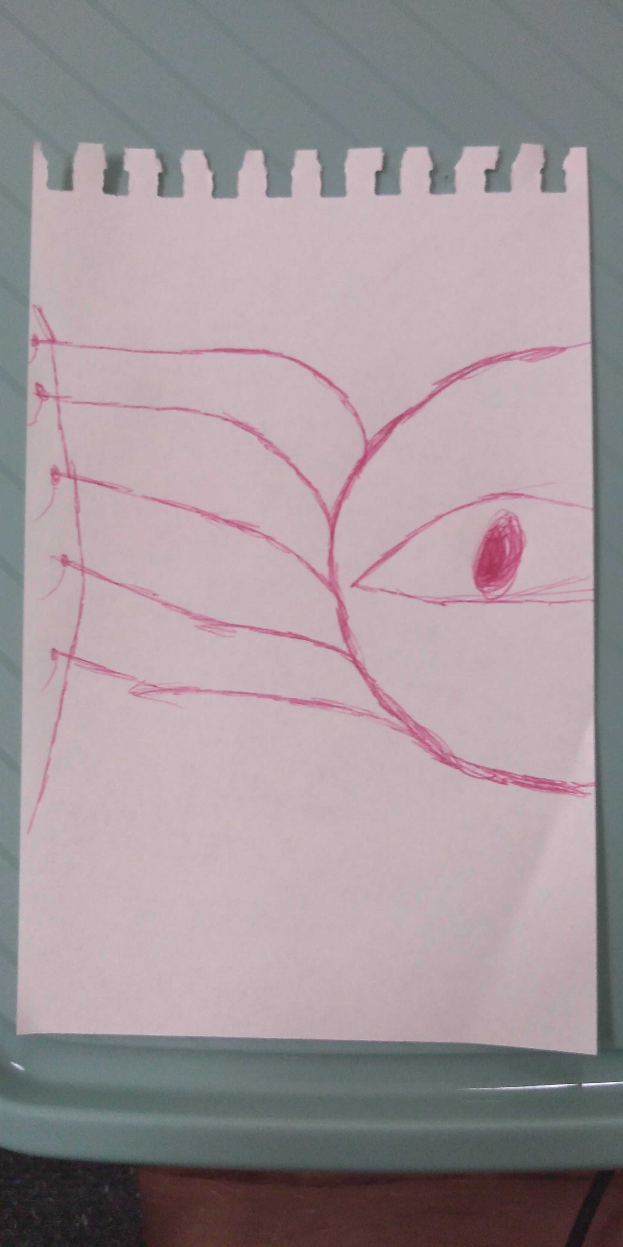 the image cannot be displayed.