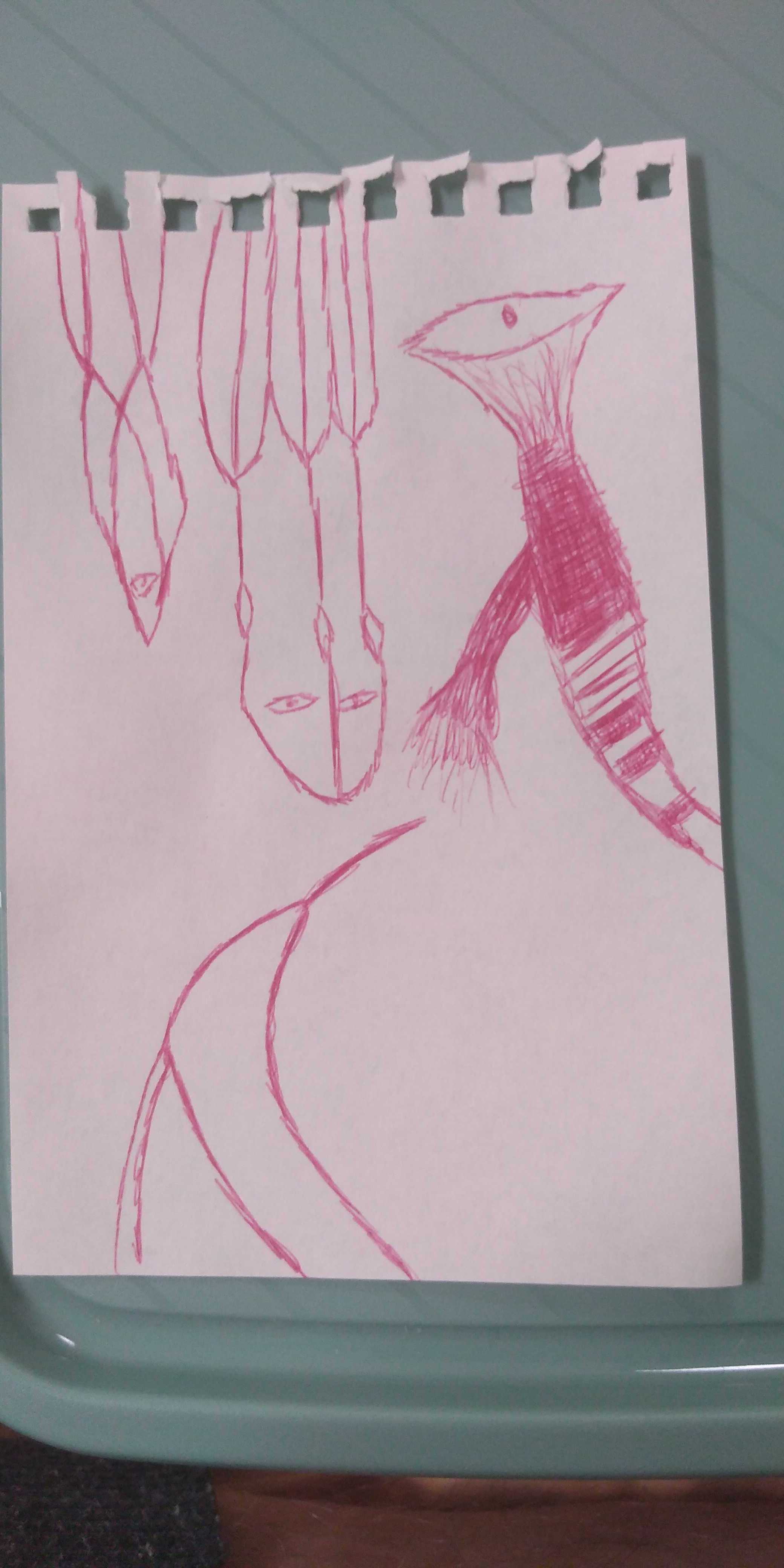 the image cannot be displayed.