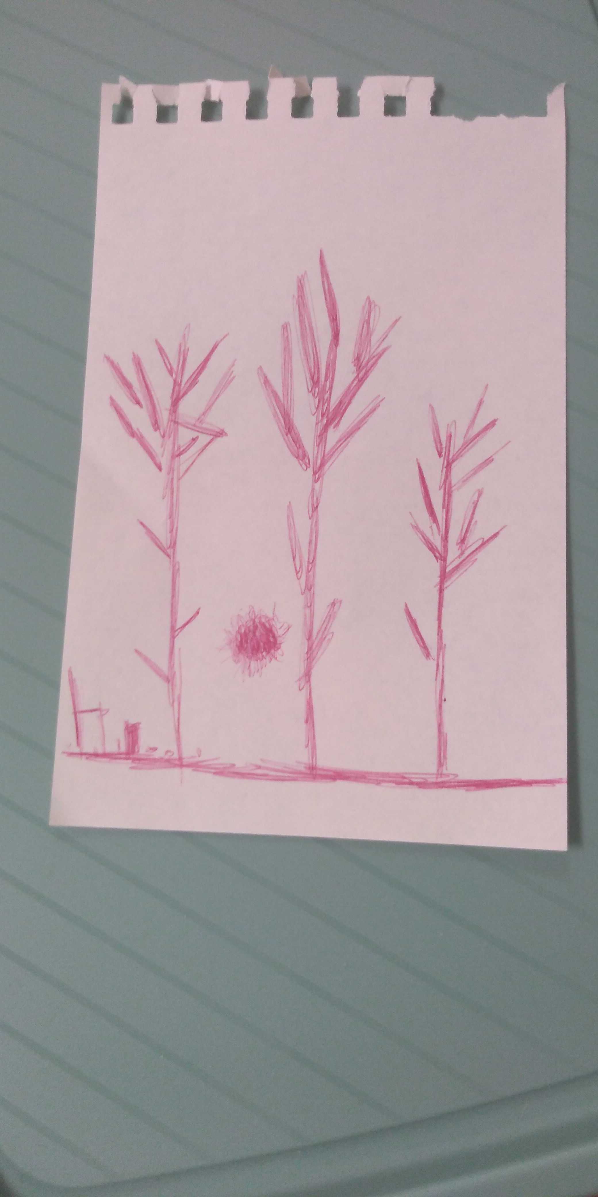 the image cannot be displayed.